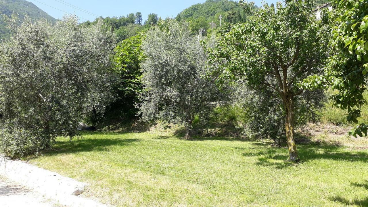 Vila Casa Gina Garden And View By Gardadomusmea Tremosine Exteriér fotografie